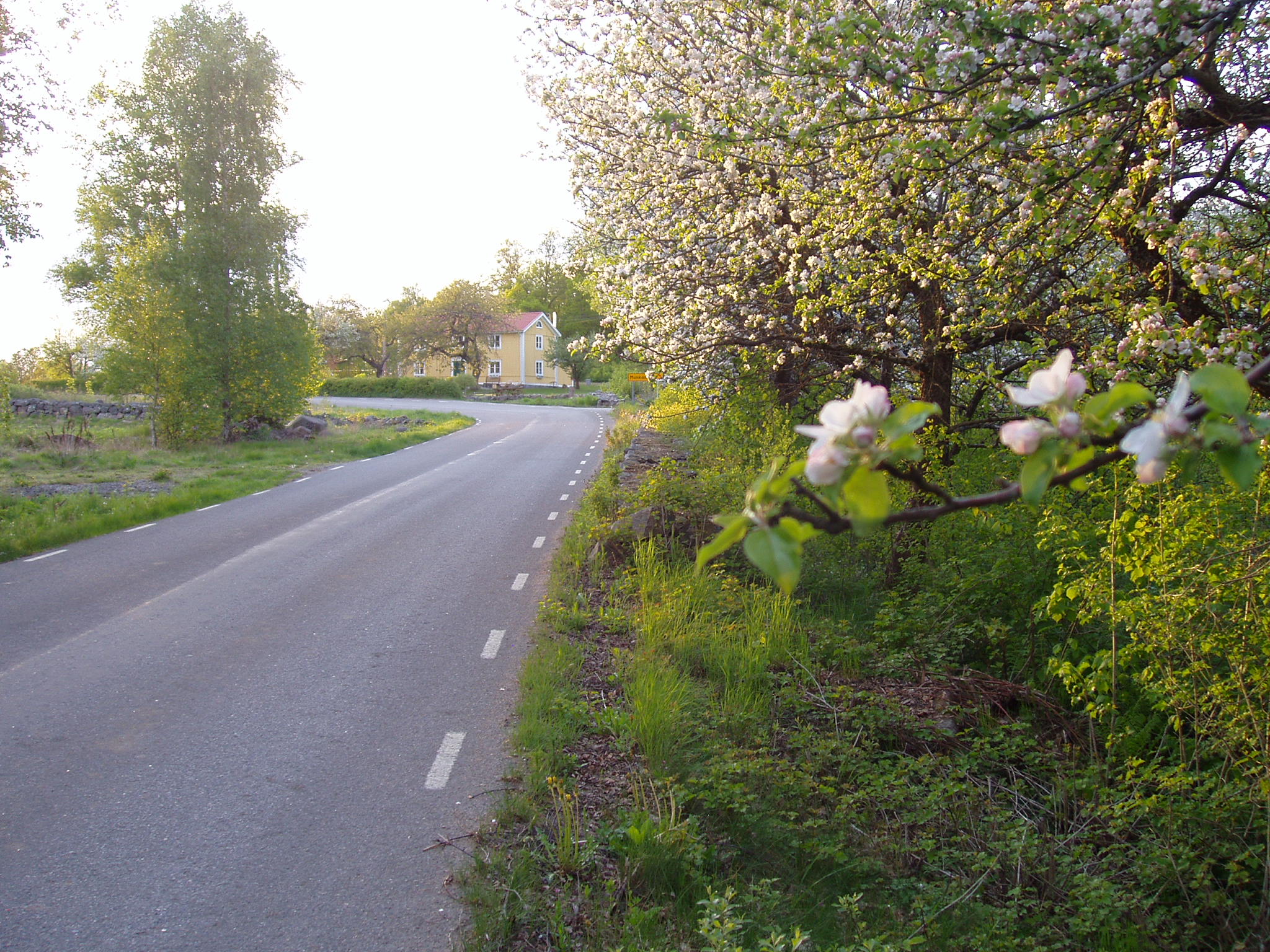 Driftområde-Tingsryd fotograf Viktor Nilsson4