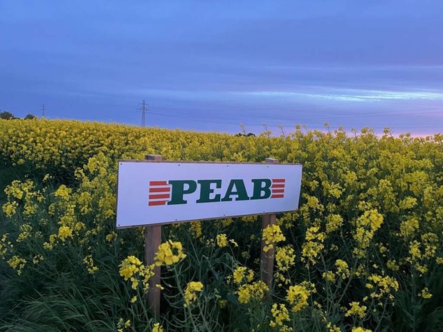 Peab-skylt-rapsfalt-2 Print