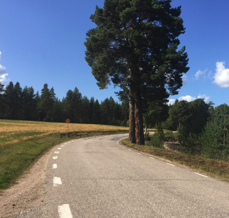 Väg 745 Bjuråker Näsviken